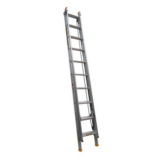 Gorilla extension ladders - industrial - photo