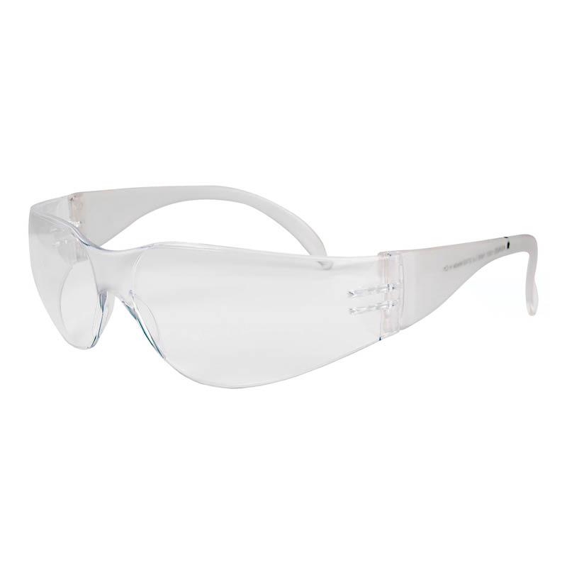 Frontier Vision X safety glasses photo