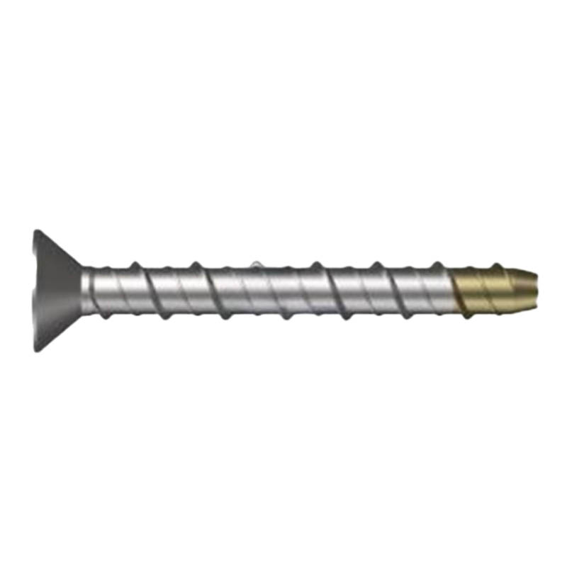 Screw bolt anchors - hex drive countersunk head photo