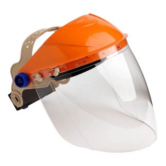 ProChoice browguard & clear visor photo